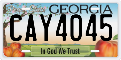 GA license plate CAY4045