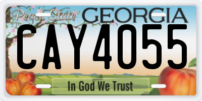 GA license plate CAY4055