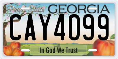 GA license plate CAY4099