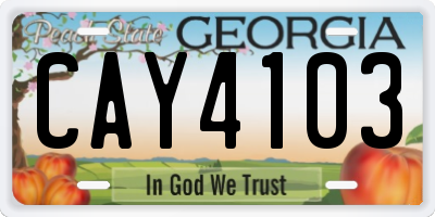 GA license plate CAY4103