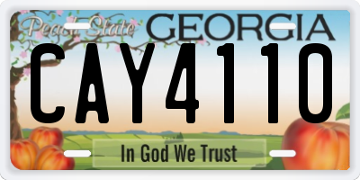 GA license plate CAY4110
