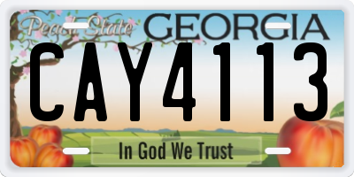 GA license plate CAY4113