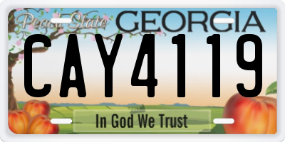 GA license plate CAY4119