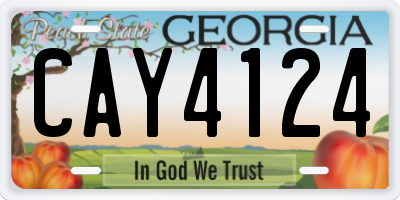 GA license plate CAY4124