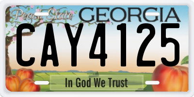 GA license plate CAY4125
