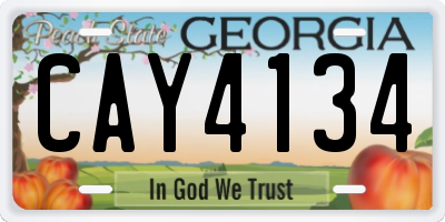 GA license plate CAY4134