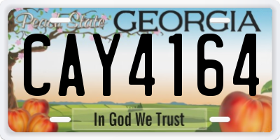 GA license plate CAY4164