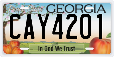 GA license plate CAY4201