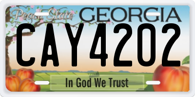 GA license plate CAY4202