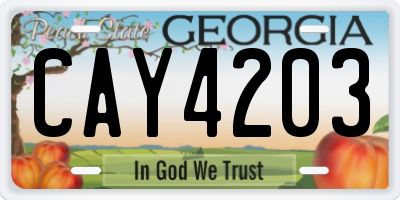 GA license plate CAY4203