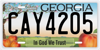 GA license plate CAY4205