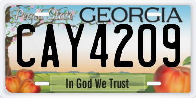 GA license plate CAY4209