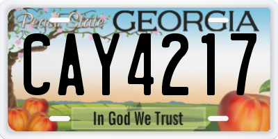 GA license plate CAY4217