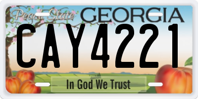 GA license plate CAY4221