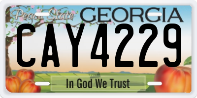 GA license plate CAY4229