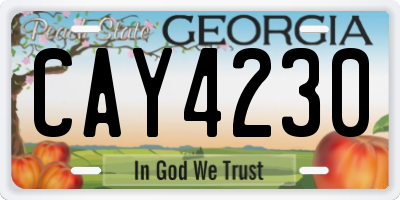 GA license plate CAY4230