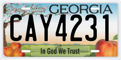 GA license plate CAY4231