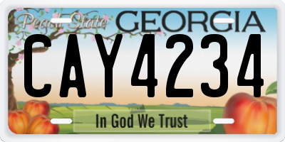 GA license plate CAY4234
