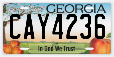 GA license plate CAY4236