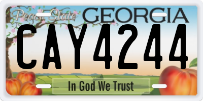 GA license plate CAY4244