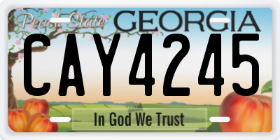 GA license plate CAY4245