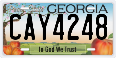 GA license plate CAY4248
