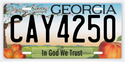GA license plate CAY4250