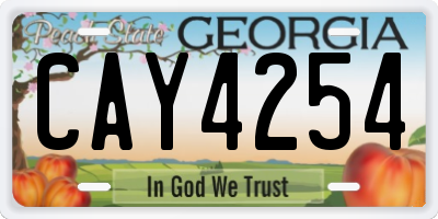 GA license plate CAY4254
