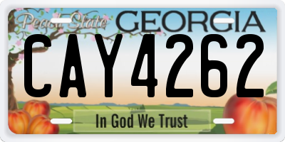 GA license plate CAY4262