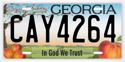 GA license plate CAY4264