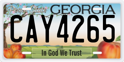 GA license plate CAY4265