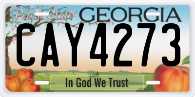 GA license plate CAY4273