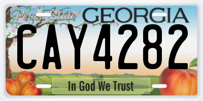 GA license plate CAY4282