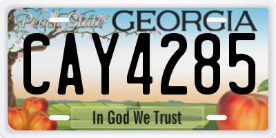 GA license plate CAY4285