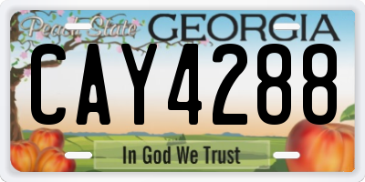 GA license plate CAY4288