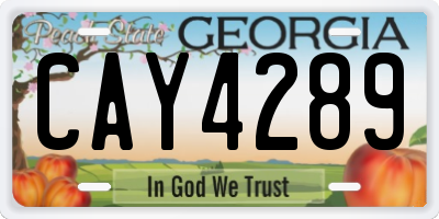 GA license plate CAY4289