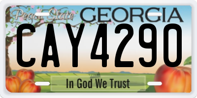 GA license plate CAY4290
