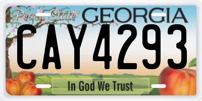 GA license plate CAY4293