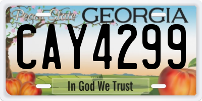 GA license plate CAY4299