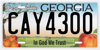 GA license plate CAY4300