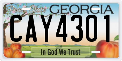 GA license plate CAY4301