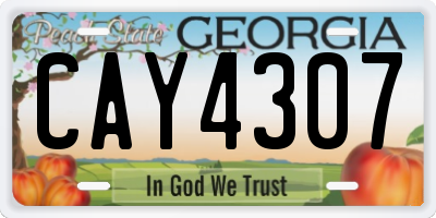 GA license plate CAY4307