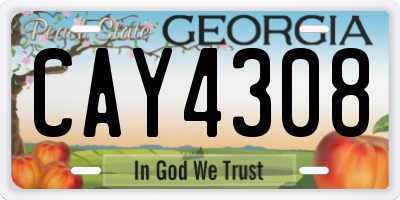 GA license plate CAY4308