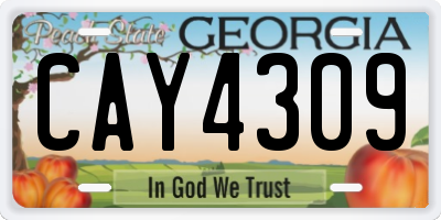 GA license plate CAY4309