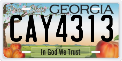 GA license plate CAY4313