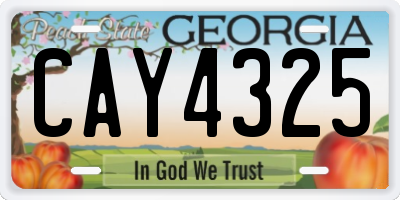 GA license plate CAY4325