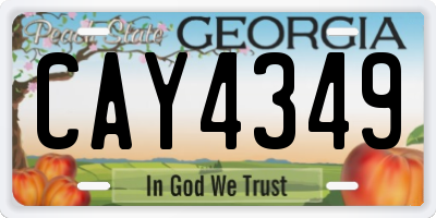 GA license plate CAY4349