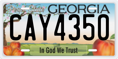 GA license plate CAY4350