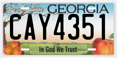 GA license plate CAY4351