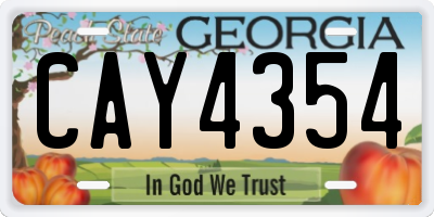 GA license plate CAY4354
